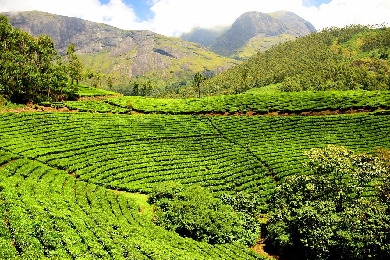 Irány Srí Lanka! Nuwara Eliya, a teabirodalom ínyenceknek